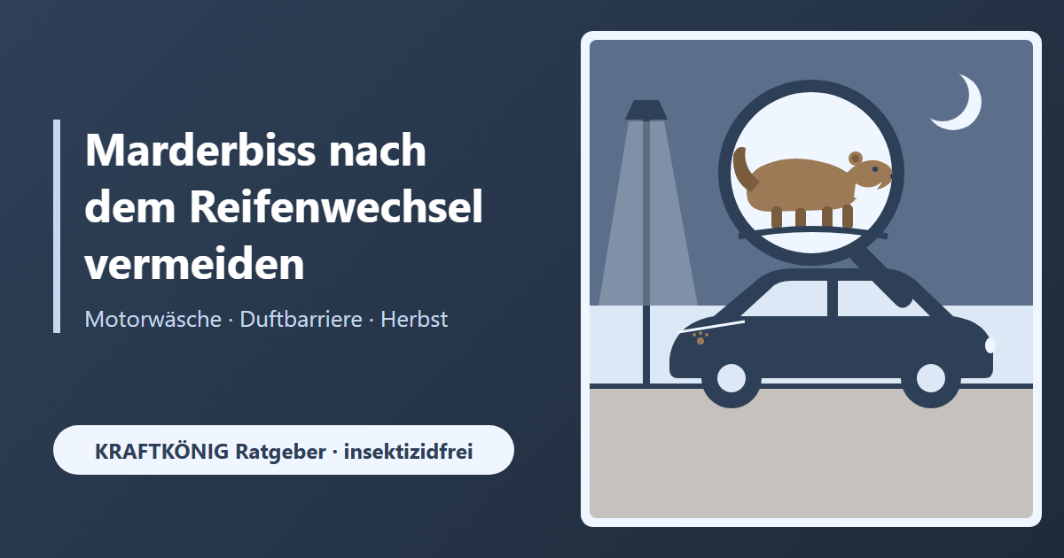Marderbiss nach dem Reifenwechsel: Warum fremde Duftspuren den Marder reizen – und wie du dein Auto im Herbst schützt