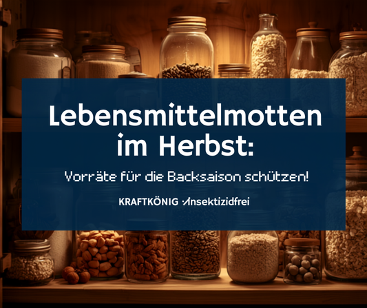 Lebensmittelmotten im Herbst: Vorratsschrank mit Gläsern voller Mehl, Nüsse und Haferflocken – KRAFTKÖNIG Ratgeber, insektizidfrei
