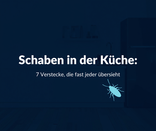 Schaben in der Küche – 7 Verstecke, die fast jeder übersieht