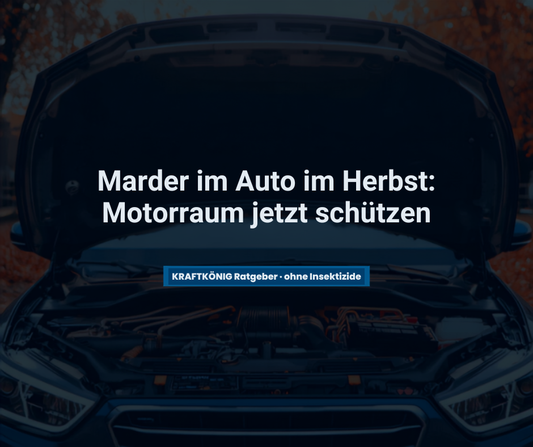 Marder im Auto im Herbst: geöffnete Motorhaube mit Blick in den Motorraum – KRAFTKÖNIG Ratgeber, ohne Insektizide