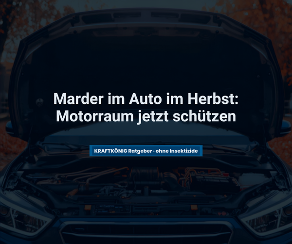 Marder im Auto im Herbst: Warum der Motorraum jetzt so anziehend ist – und wie du ihn mit Marderkugeln schützt