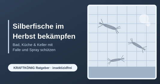 Silberfische im Herbst bekämpfen – KRAFTKÖNIG Ratgeber