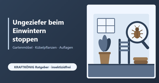Ungeziefer beim Einwintern: Gartenmöbel, Kübelpflanzen & Auflagen ohne Krabbeltiere ins Haus holen