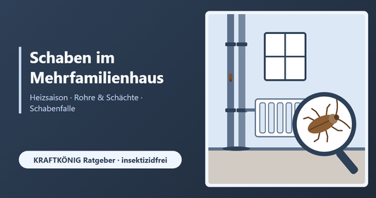 Schaben im Mehrfamilienhaus: Wie sie zur Heizsaison über Rohre & Schächte einwandern