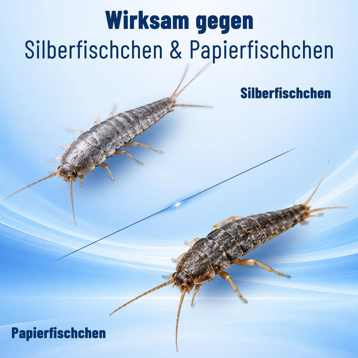 Silberfisch Spray mit Sprührohr – 500ml – Bild 8