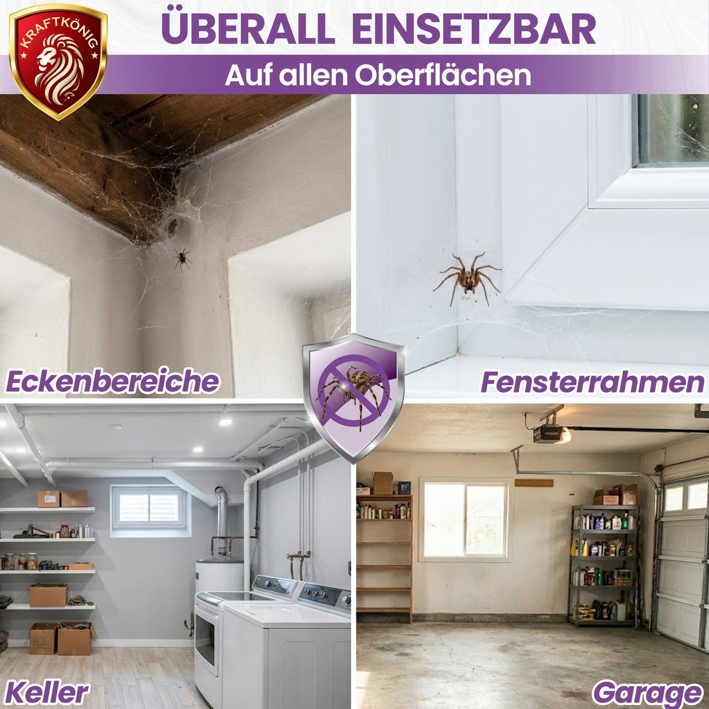 Spinnenspray – 500ml