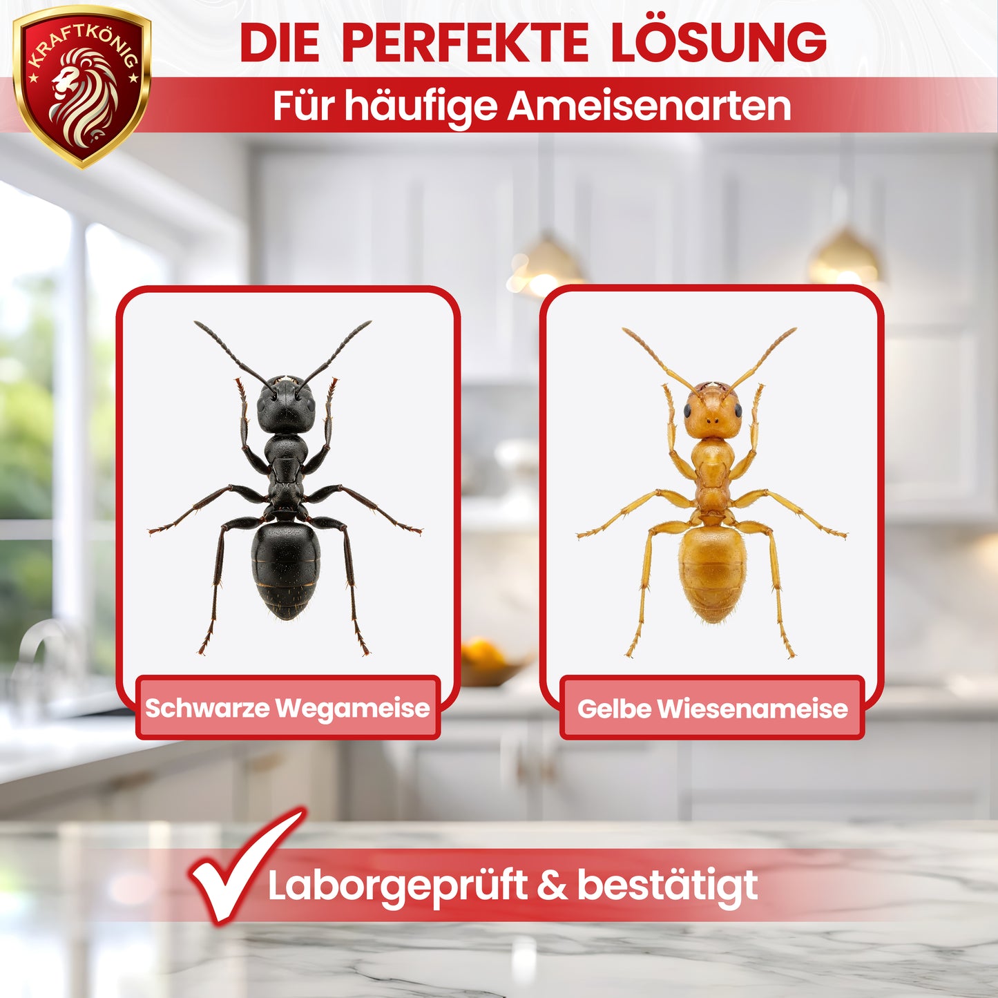 Ameisenspray – 500ml