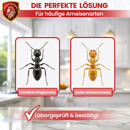 Ameisenspray – 500ml