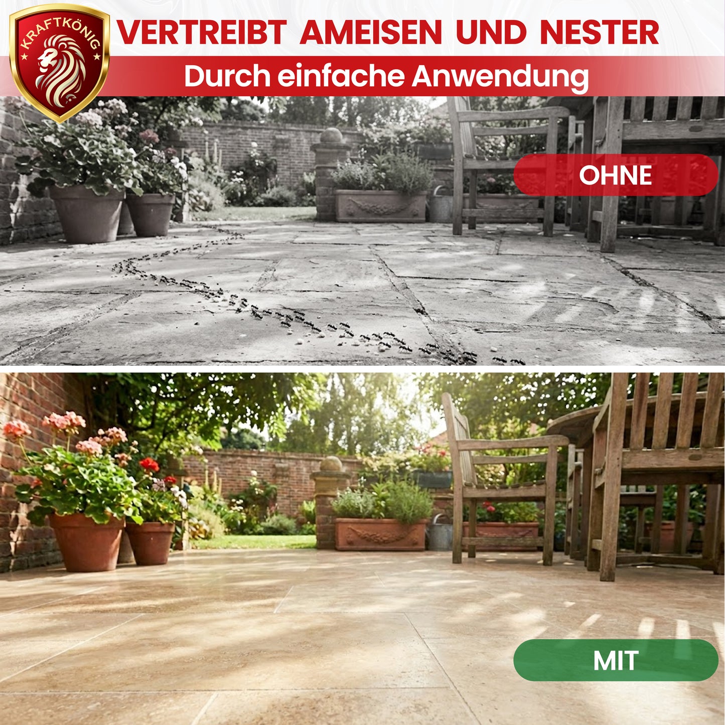 Ameisenspray – 500ml