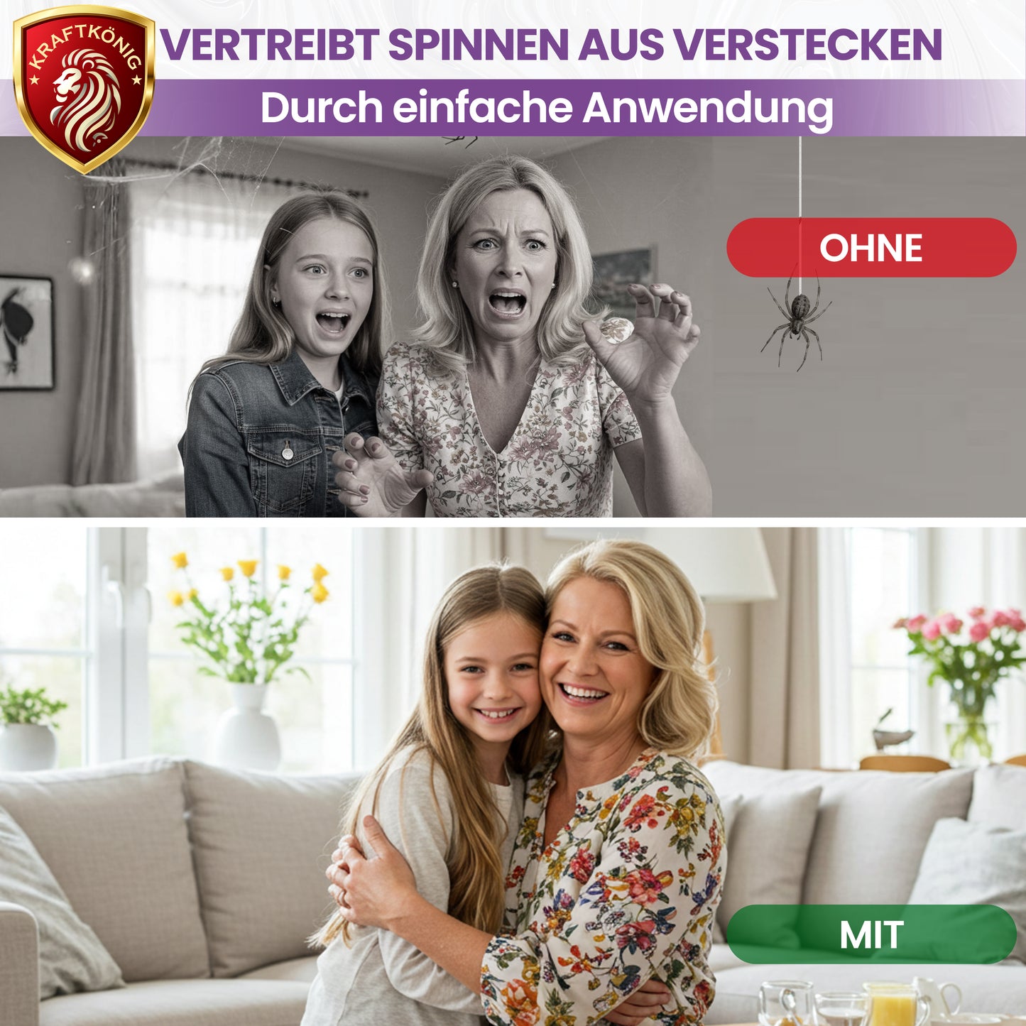 Spinnenspray – 500ml