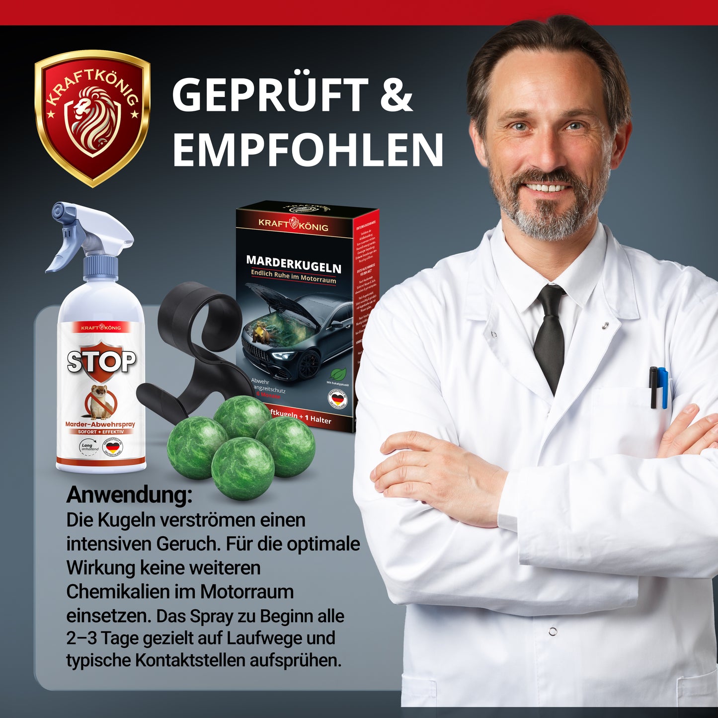SET Marderkugel + Marderspray
