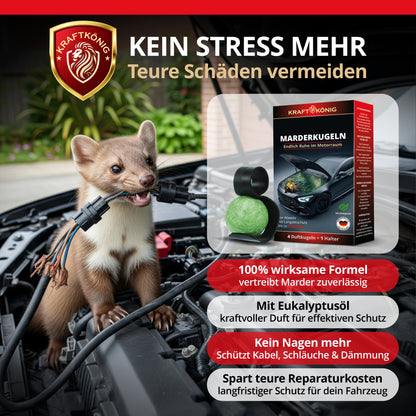 SET Marderkugel + Marderspray