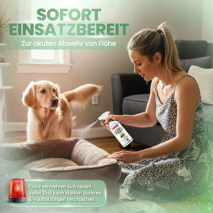 Flohspray – 500ml