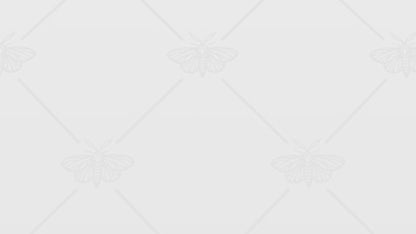 Kleidermottenfalle – 8 Stück