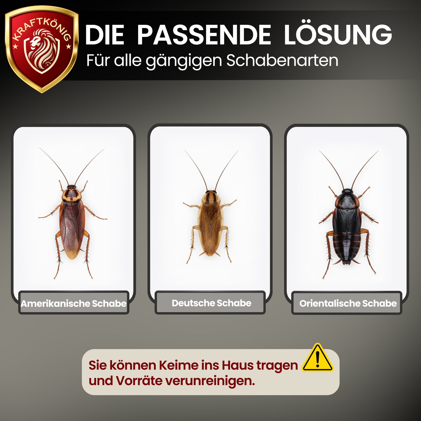 Schabenfalle – 12 Stück