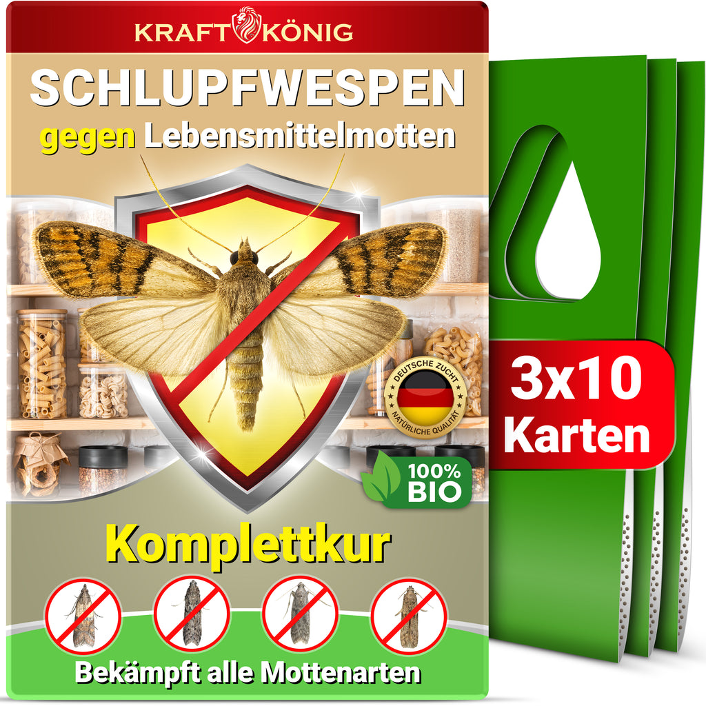 Schlupfwespen gegen Lebensmittelmotten Komplettkur